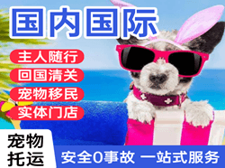 伊尔施机场空运国际宠物托运 【国