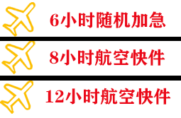 伊尔施机场空运快递公司,专业空运当天件